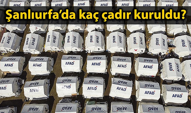 AFAD deprem bölgesinde kurulan çadır sayısını açıkladı