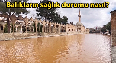 Balıklıgöl'de suyun rengi değişti