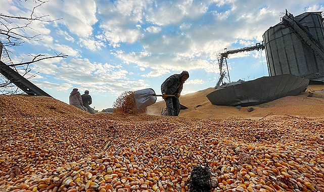 Depremde silolar da hasar gördü