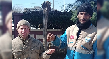 Haliliye'nin temizlik personelinden Adıyaman'da örnek davranış