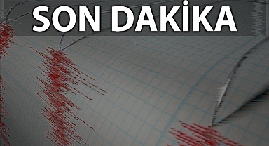 Malatya'daki deprem Şanlıurfa'dan da hissedildi