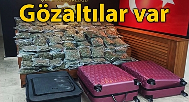 Şanlıurfa'da durdurulan araçlarda uyuşturucu ele geçirildi