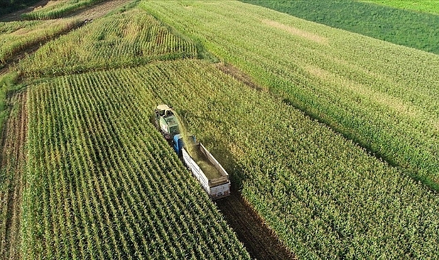 Tarımsal destek ödemeleriyle ilgili açıklama