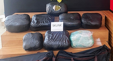 Şanlıurfa'da 32 kilo skunk ele geçirildi