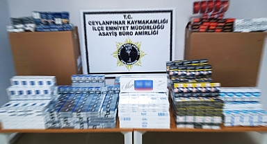 Şanlıurfa'da bir markete kaçak sigara baskını
