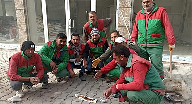 Temizlik yaparken çöp kutusunun yanında altın buldular