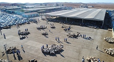 Tüm illerde hayvan pazarları kapatıldı