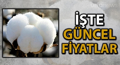Borsada pamuk fiyatları düne göre yükseldi