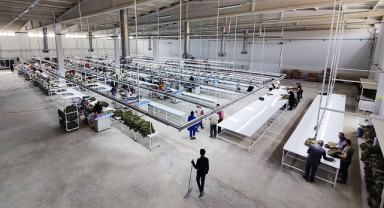 Şanlıurfa'da belediyenin inşa ettiği fabrikada üretim başladı