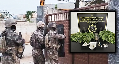 Ceylanpınar'da eş zamanlı uyuşturucu operasyonu: Gözaltılar var