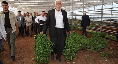 Şanlıurfa'da 1 milyon biber fidesi üretildi