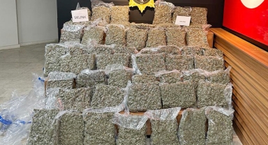 Şanlıurfa'da 53 kilo 750 gram skunk ele geçirildi