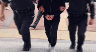 Şanlıurfa'da hırsızlık şüphelisi bir kişi tutuklandı
