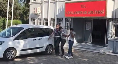 Şanlıurfa'da iki kişi hırsızlık suçundan tutuklandı
