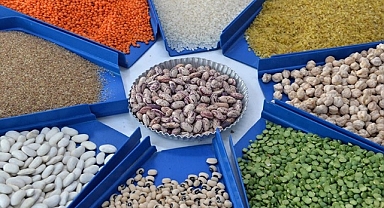 Borsada güncel hububat fiyatları belli oldu
