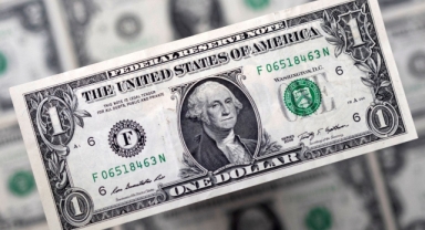 Dolar 25 lirayı geçti