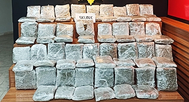 Şanlıurfa'da bir araçta 38 kilo skunk ele geçirildi