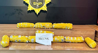 Şanlıurfa'da bir araçta 5 kilodan fazla skunk ele geçirildi