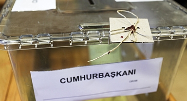Seçimin kesin sonuçları Resmi Gazete'de