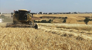 TMO hububat alımını 530 noktadan yapacak