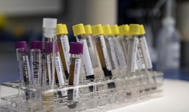 320 milyon kişinin hasta olduğu tahmin ediliyor