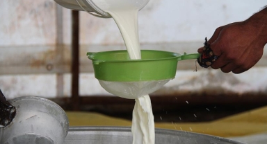 Çiğ süte yüzde 35 zam geldi