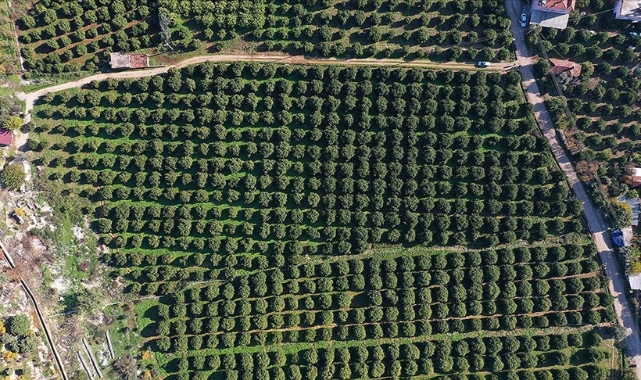 Coğrafi işaretli ürünler yeni teknolojiyle korunacak