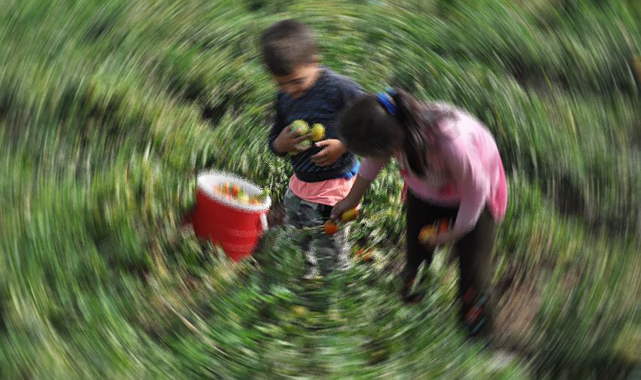 Harran'da güneş çarpması sonucu fenalaşan kız çocuğu öldü