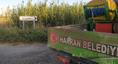 Harran'da haşereyle mücadele sürüyor: Halk sağlığı her şeyden önemli