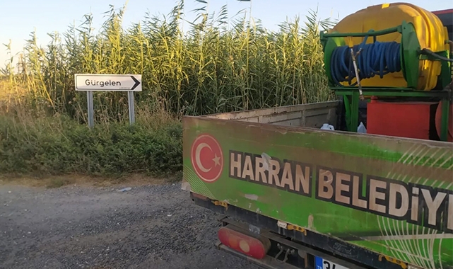 Harran'da haşereyle mücadele sürüyor: Halk sağlığı her şeyden önemli