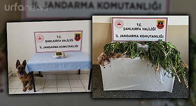 Jandarmadan Şanlıurfa'nın iki ilçesinde uyuşturucu operasyonu