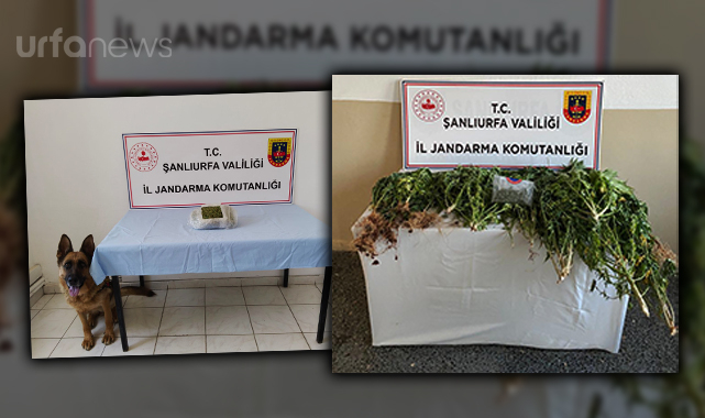 Jandarmadan Şanlıurfa'nın iki ilçesinde uyuşturucu operasyonu