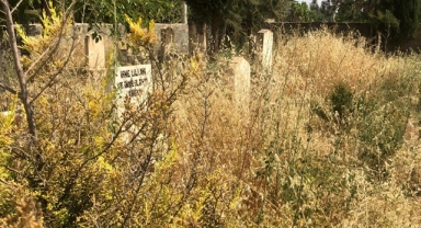 Karaköprü'de aile mezarlığı bakım bekliyor: Ölülerine saygı istiyorlar