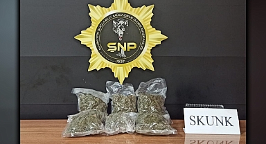 Şanlıurfa'da 1 kilo 250 gram skunk ele geçirildi