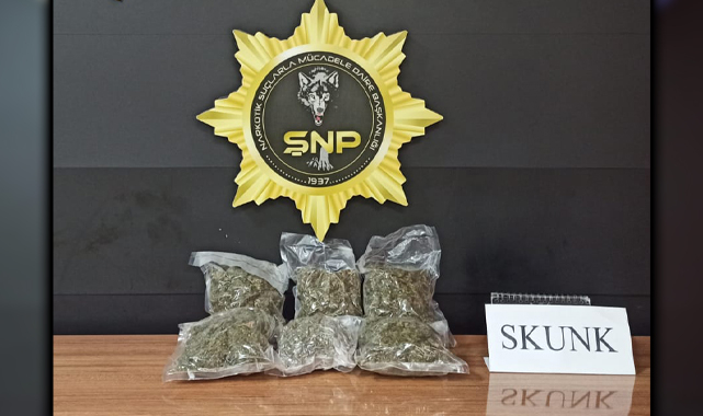 Şanlıurfa'da 1 kilo 250 gram skunk ele geçirildi