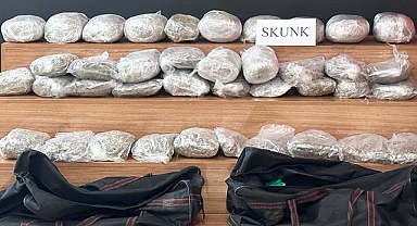 Şanlıurfa'da 32 kilo 660 gram skunk ele geçirildi: 4 gözaltı