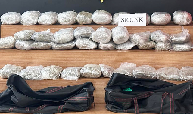 Şanlıurfa'da 32 kilo 660 gram skunk ele geçirildi: 4 gözaltı