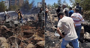 Şanlıurfa'daki orman yangınının kasıtlı olduğu açıklandı