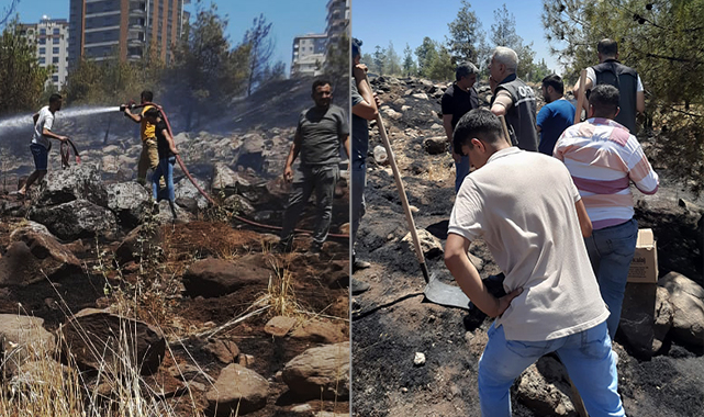 Şanlıurfa&#039;daki orman yangınının kasıtlı olduğu açıklandı