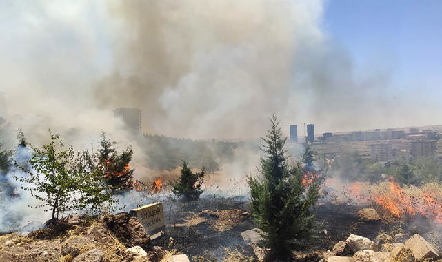 Şanlıurfa&#039;daki orman yangınıyla ilgili bir kişi tutuklandı