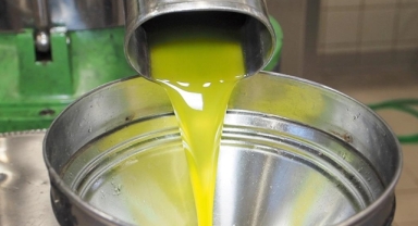 Zeytinyağı ihracatında kilogram başına prim kesintisi yapılacak