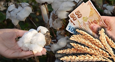 Borsada pamuk ve buğday fiyatlarında hareketlilik yaşandı