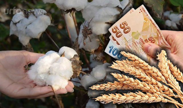 Borsada pamuk ve buğday fiyatlarında hareketlilik yaşandı