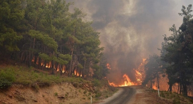 Orman yangınlarının nedeni belli oldu
