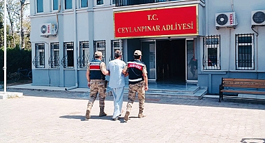 Şanlıurfa'daki köpek tecavüzcüsü tutuklandı