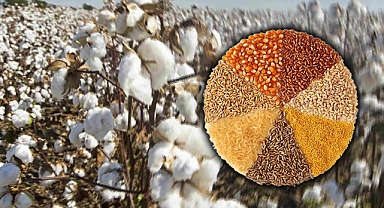 Şanlıurfa Ticaret Borsasında güncel fiyatlar belli oldu