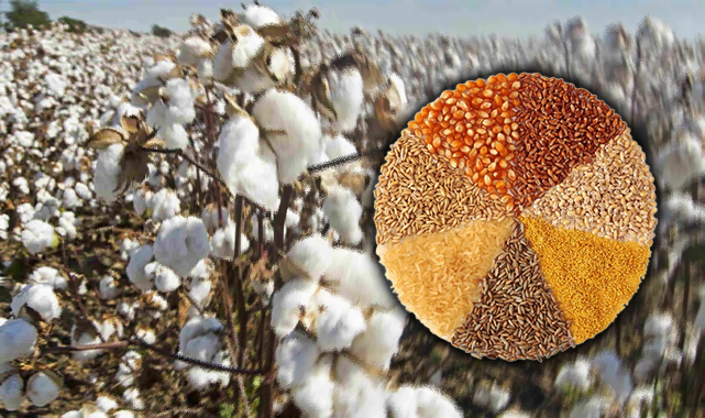 Şanlıurfa Ticaret Borsasında güncel fiyatlar belli oldu