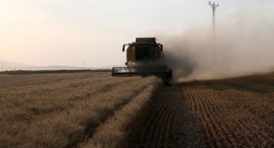 Tarımsal destekleme ödemeleri çitçilerin hesaplarına bugün yatırılacak