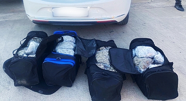 Şanlıurfa'da bir araçta kilolarca skunk ele geçirildi