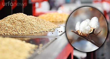Şanlıurfa Ticaret Borsasında güncel fiyatlar açıklandı